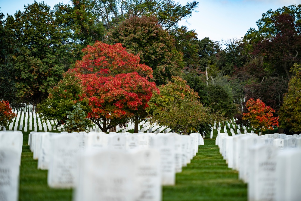 Fall Foliage at Arlington National Cemetery - 2021