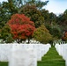 Fall Foliage at Arlington National Cemetery - 2021