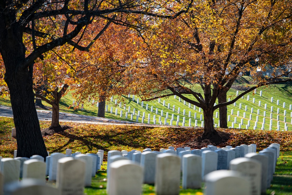 Fall Foliage at Arlington National Cemetery - 2021