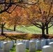 Fall Foliage at Arlington National Cemetery - 2021