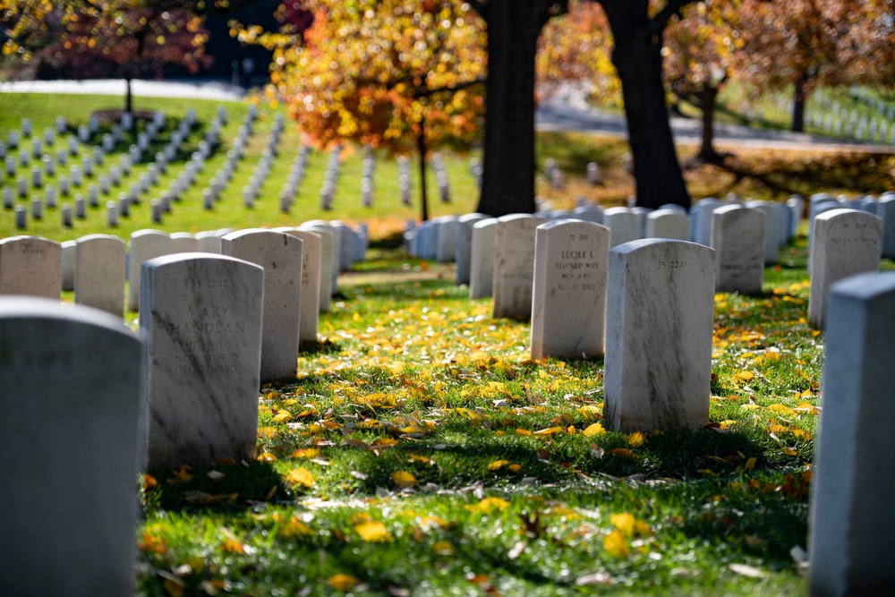 Fall Foliage at Arlington National Cemetery - 2021