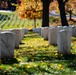 Fall Foliage at Arlington National Cemetery - 2021