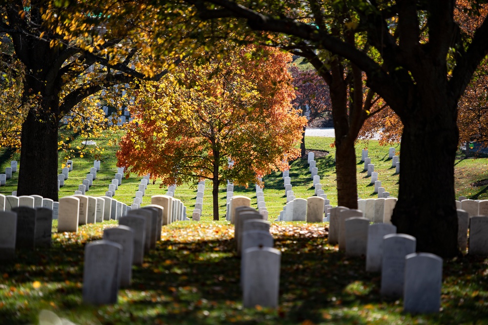 Fall Foliage at Arlington National Cemetery - 2021