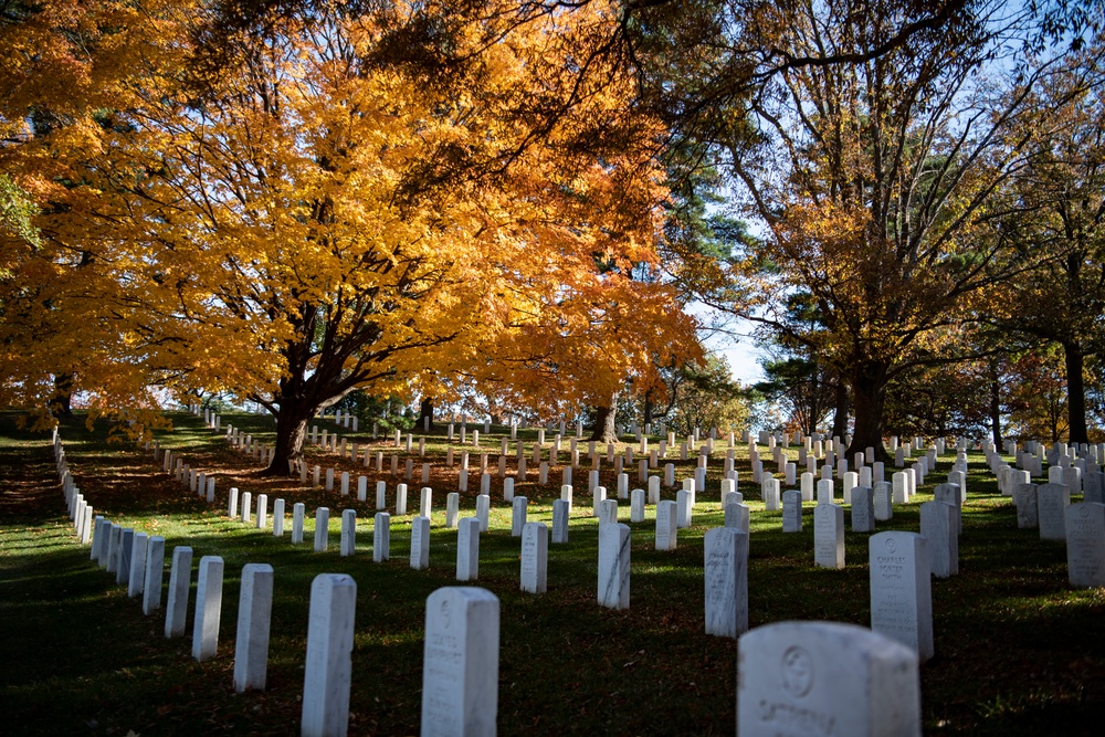 Fall Foliage at Arlington National Cemetery - 2021