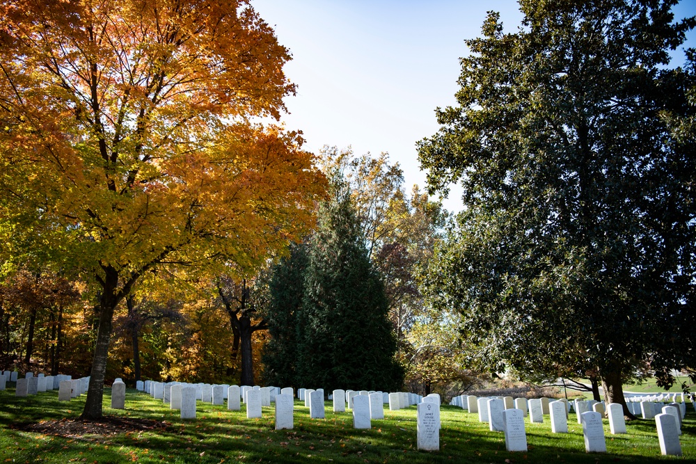 Fall Foliage at Arlington National Cemetery - 2021