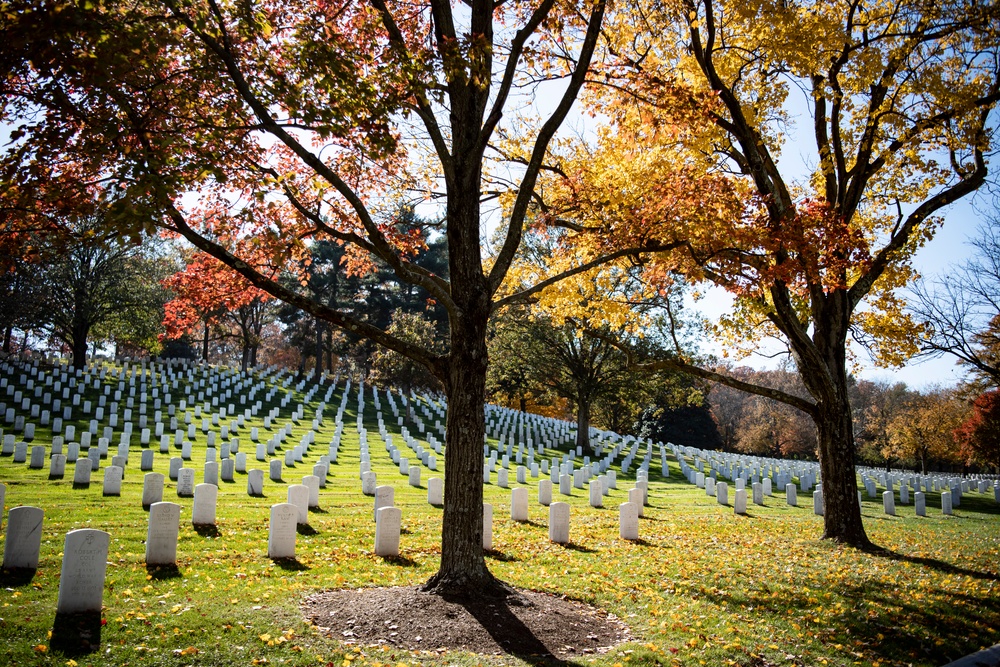 Fall Foliage at Arlington National Cemetery - 2021