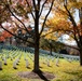 Fall Foliage at Arlington National Cemetery - 2021