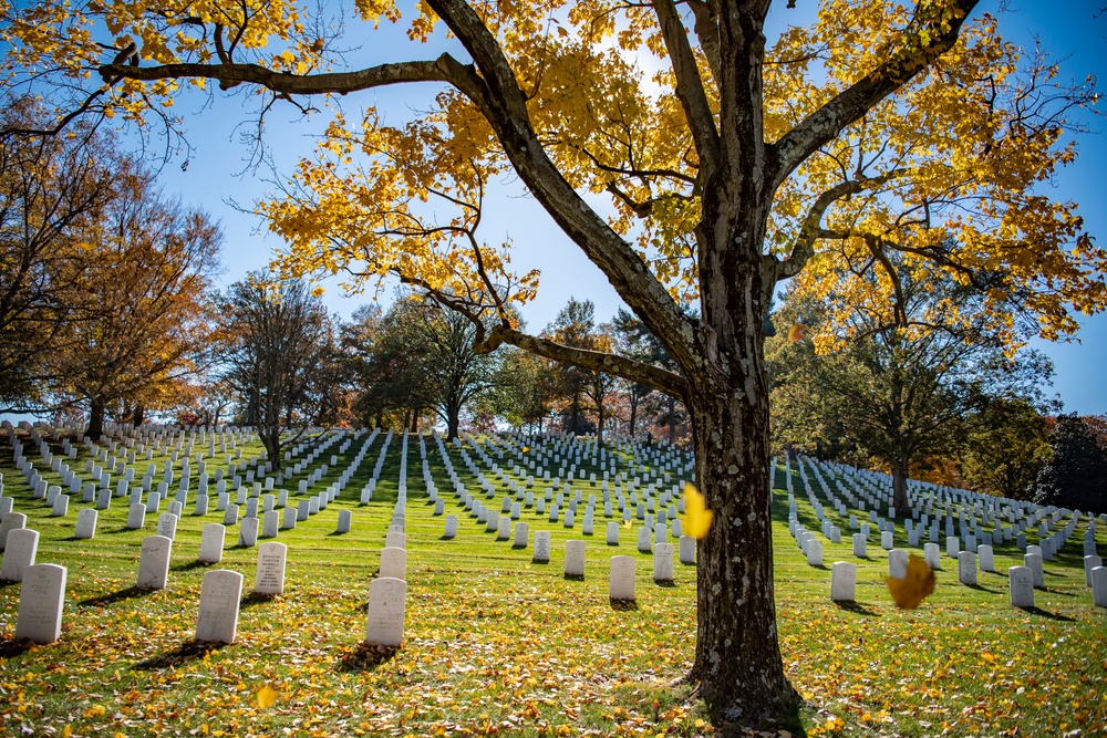 Fall Foliage at Arlington National Cemetery - 2021