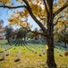 Fall Foliage at Arlington National Cemetery - 2021