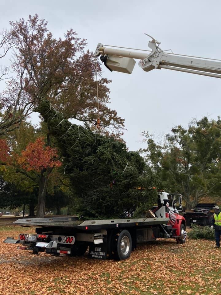 Christmas tree delivered to Fort Bragg