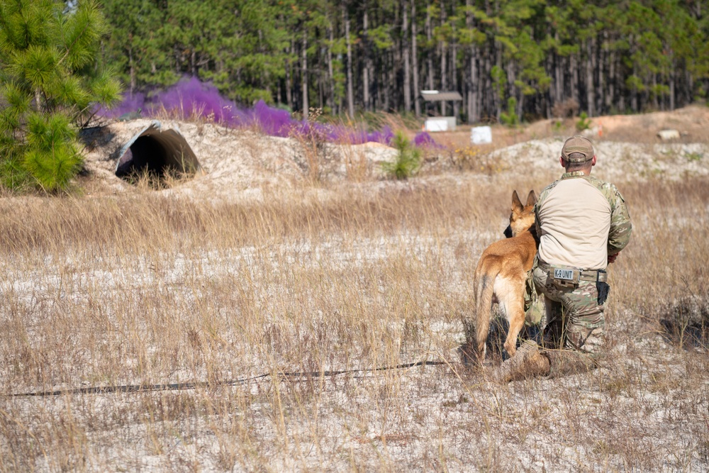 EOD technicians, MWD handlers participate in joint training