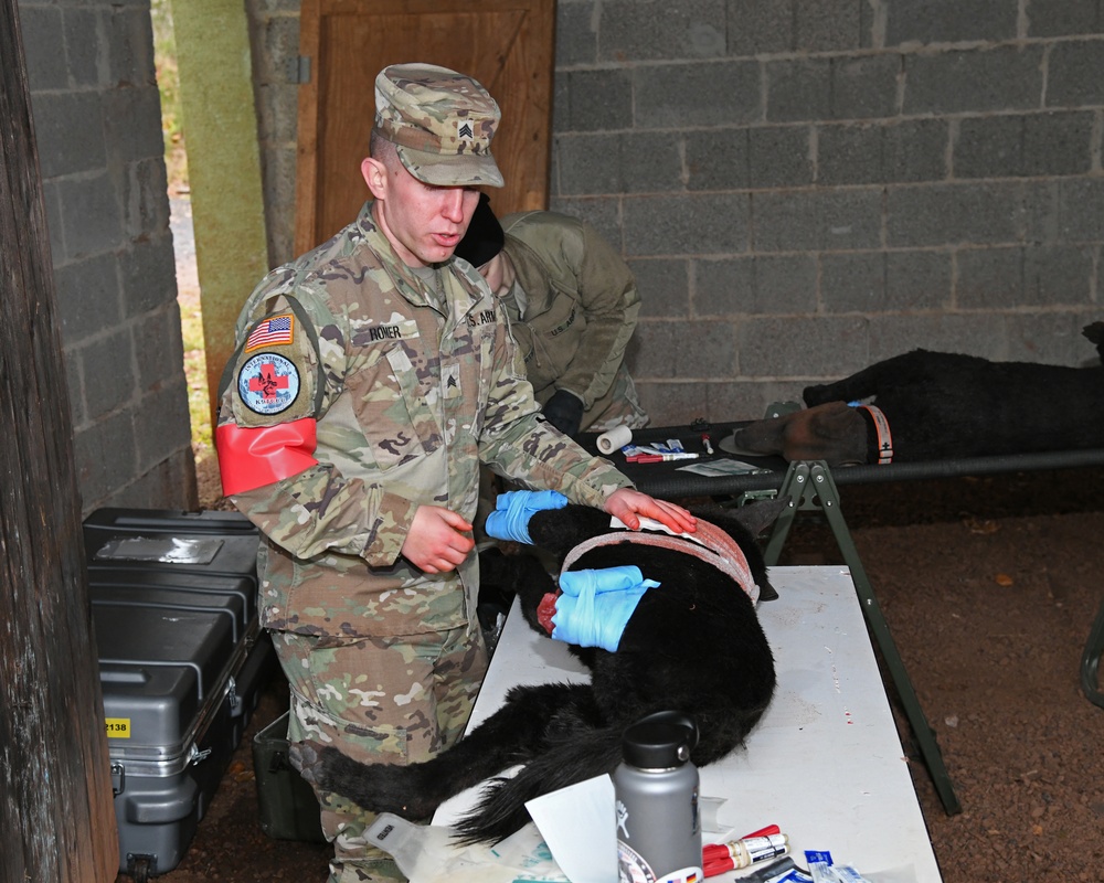 International K-9 Tactical Combat Casualty Care Short Course
