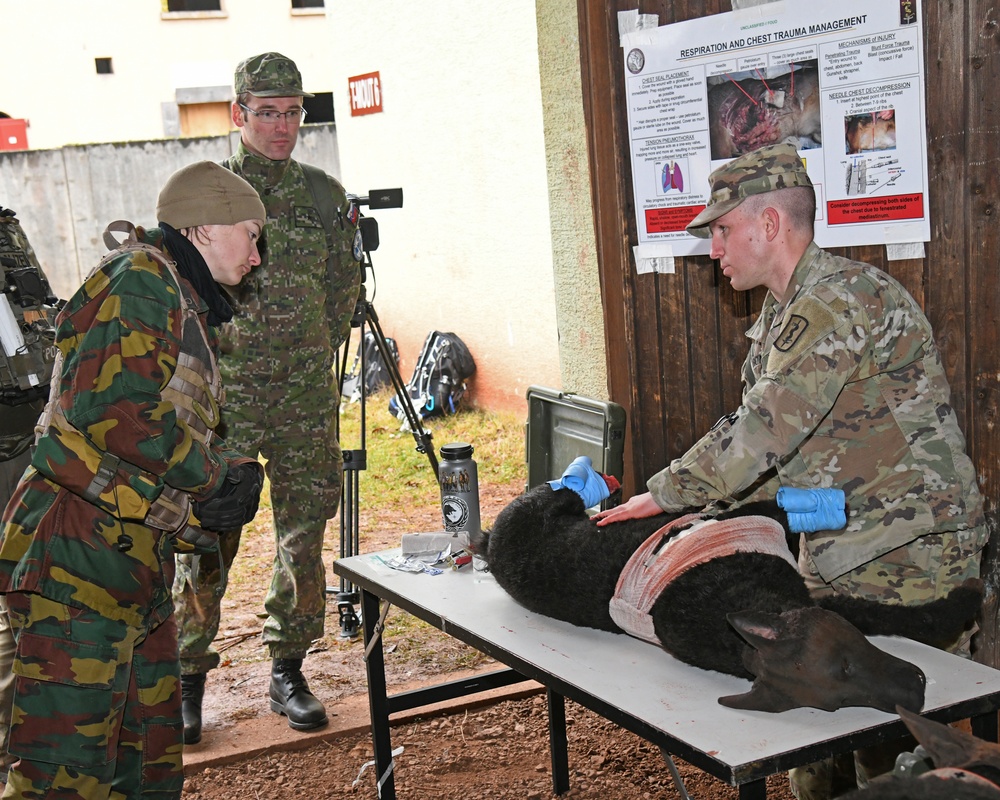 International K-9 Tactical Combat Casualty Care Short Course