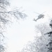 Arctic survival school students train with 210th RQS in recovery ops