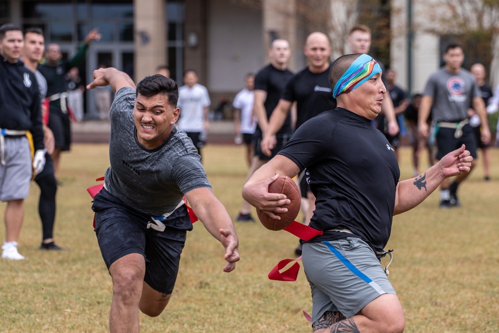 Marines with Marine Forces Reserve conduct physical training
