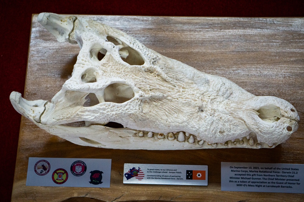 MRF-D delivers crocodile skull gift to III MEF Commanding General