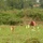 Recovery Operations Continue in Nghe An Province Recovery Operations Continue in Nghe An Province