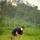 Recovery Operations Continue in Nghe An Province Recovery Operations Continue in Nghe An Province