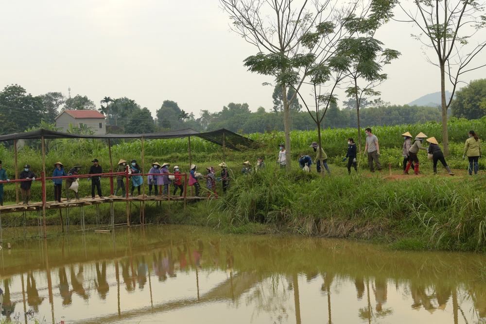 Recovery Operations Continue in Nghe An Province