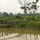 Recovery Operations Continue in Nghe An Province Recovery Operations Continue in Nghe An Province