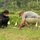 Recovery Operations Continue in Nghe An Province Recovery Operations Continue in Nghe An Province