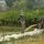 Recovery Operations Continue in Nghe An Province Recovery Operations Continue in Nghe An Province