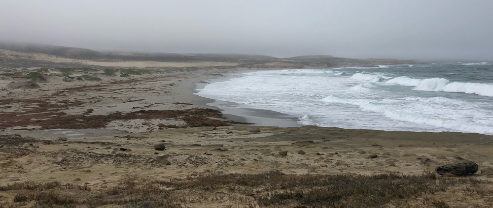 Navy demonstrates commitment to good stewardship of San Nicolas Island