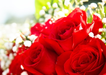 MCBH holds wreath laying ceremony for Medal of Honor recipient Cpl. Duane Dewey, Marine Corps Base Hawaii