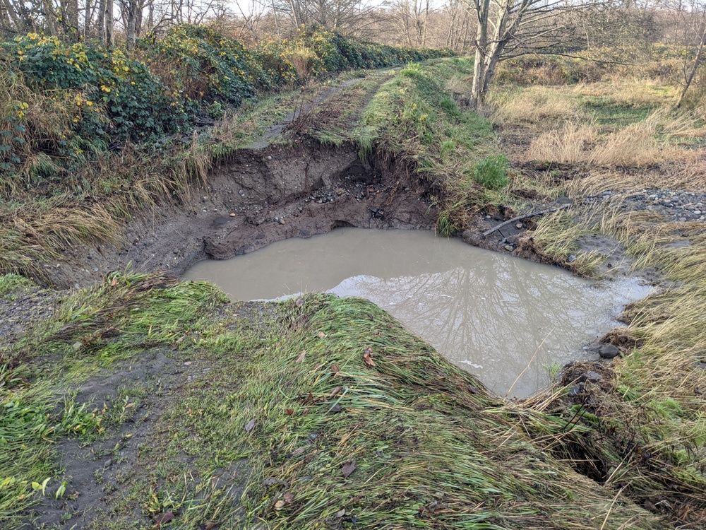 BEFORE - Rainbow Slough Levee Repair