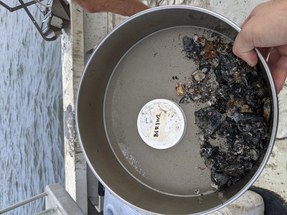ERDC, The University of Southern Mississippi work to re-establish Gulf reefs