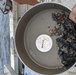 ERDC, The University of Southern Mississippi work to re-establish Gulf reefs
