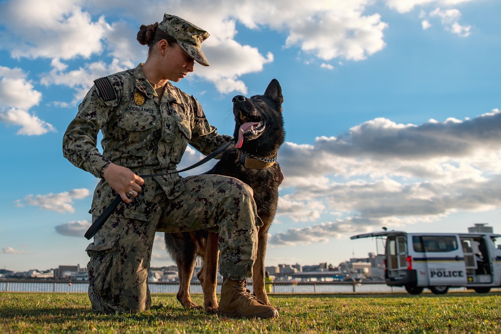 CFAY Military Working Dog Handlers Train with Dogs