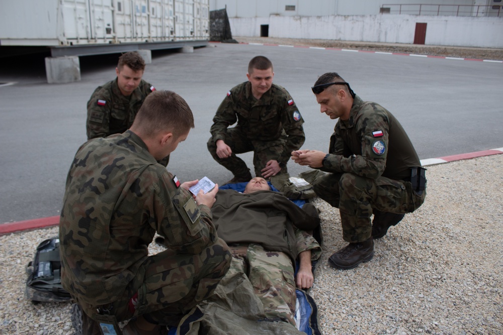 DVIDS - Images - U.S. and Polish Service Members Conduct Combat ...