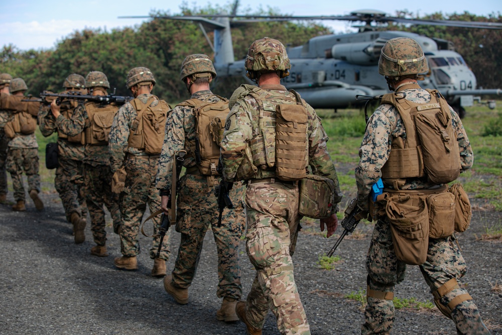 2-14 CAV, 25ID and 3/3 Marines conduct joint Deployment Readiness Exercise