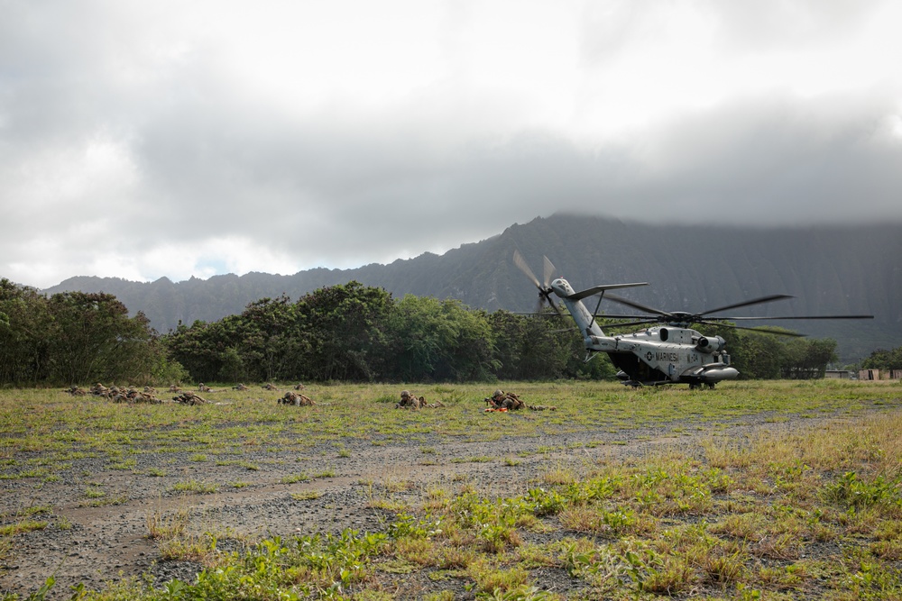 2-14 CAV, 25ID and 3/3 Marines conduct joint Deployment Readiness Exercise