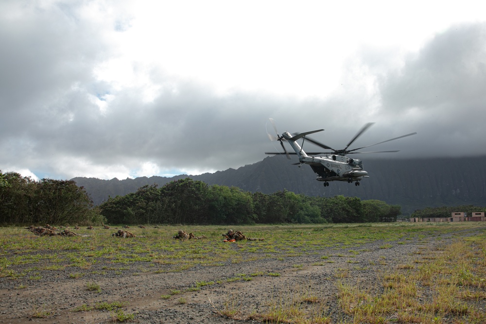 2-14 CAV, 25ID and 3/3 Marines conduct joint Deployment Readiness Exercise