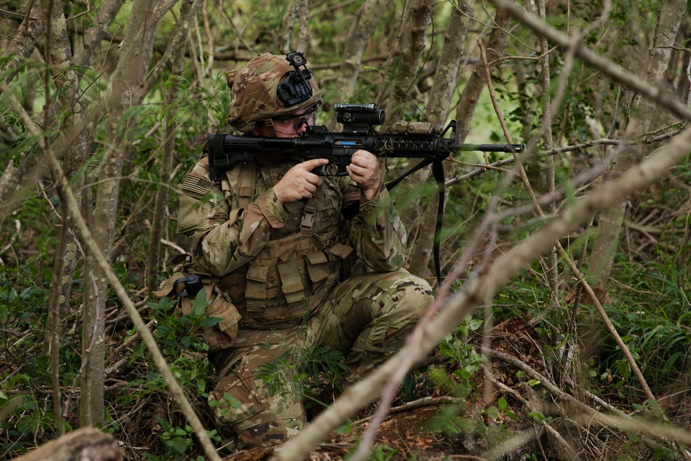 2-14 CAV, 25ID and 3/3 Marines conduct joint Deployment Readiness Exercise