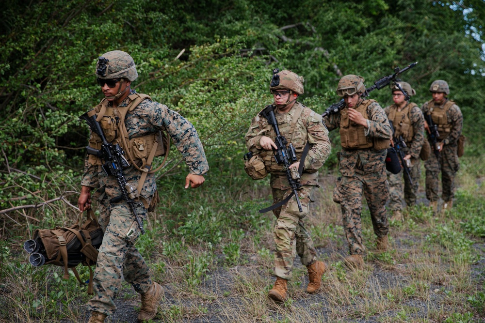 DVIDS - Images - 2-14 CAV, 25ID and 3/3 Marines conduct joint ...