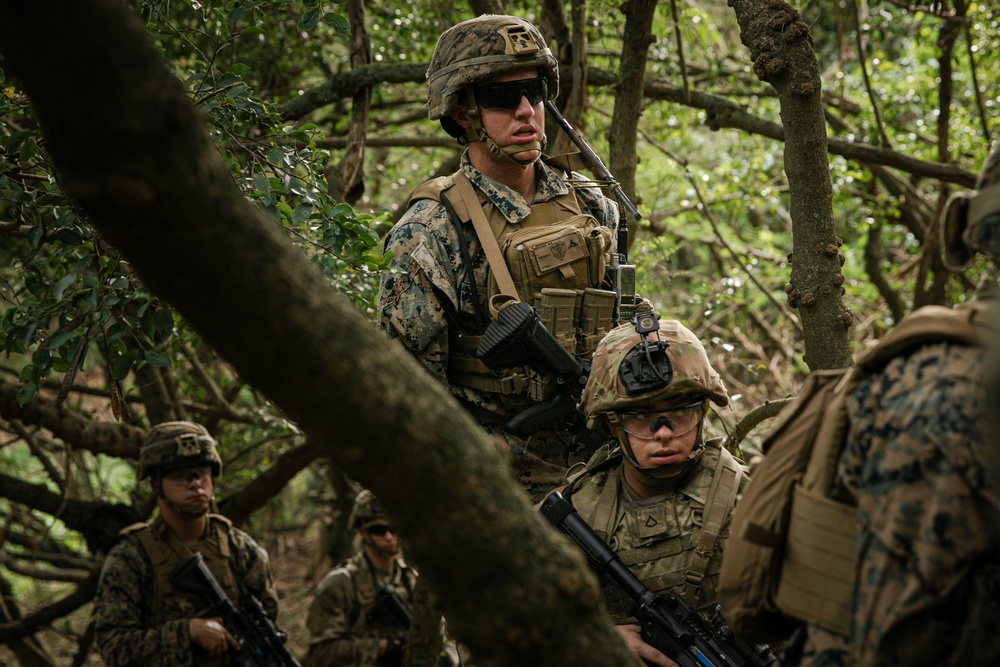 2-14 CAV, 25ID and 3/3 Marines conduct joint Deployment Readiness Exercise