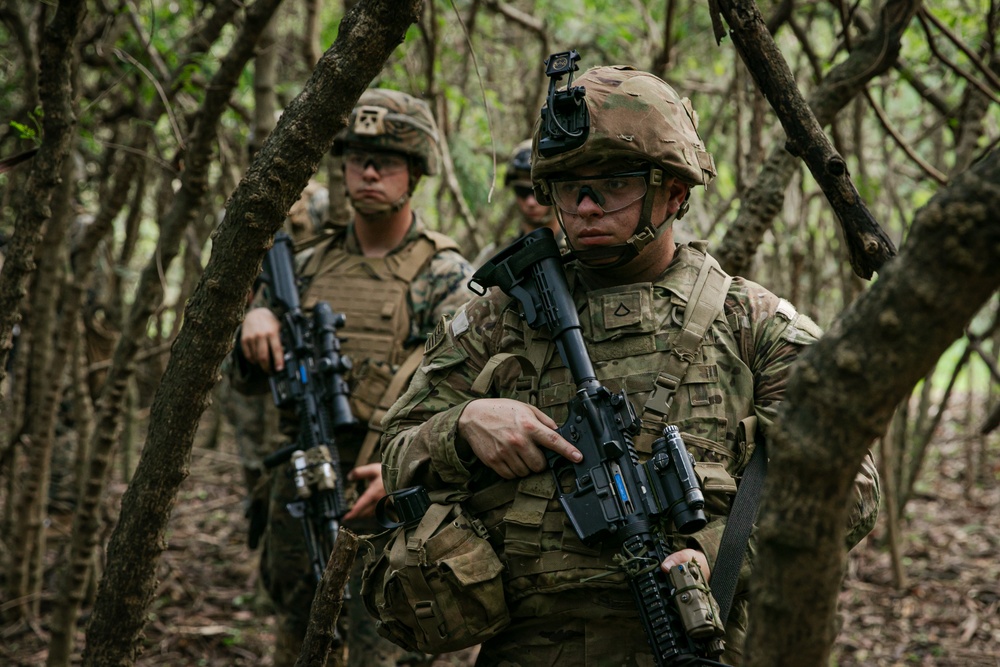 2-14 CAV, 25ID and 3/3 Marines conduct joint Deployment Readiness Exercise