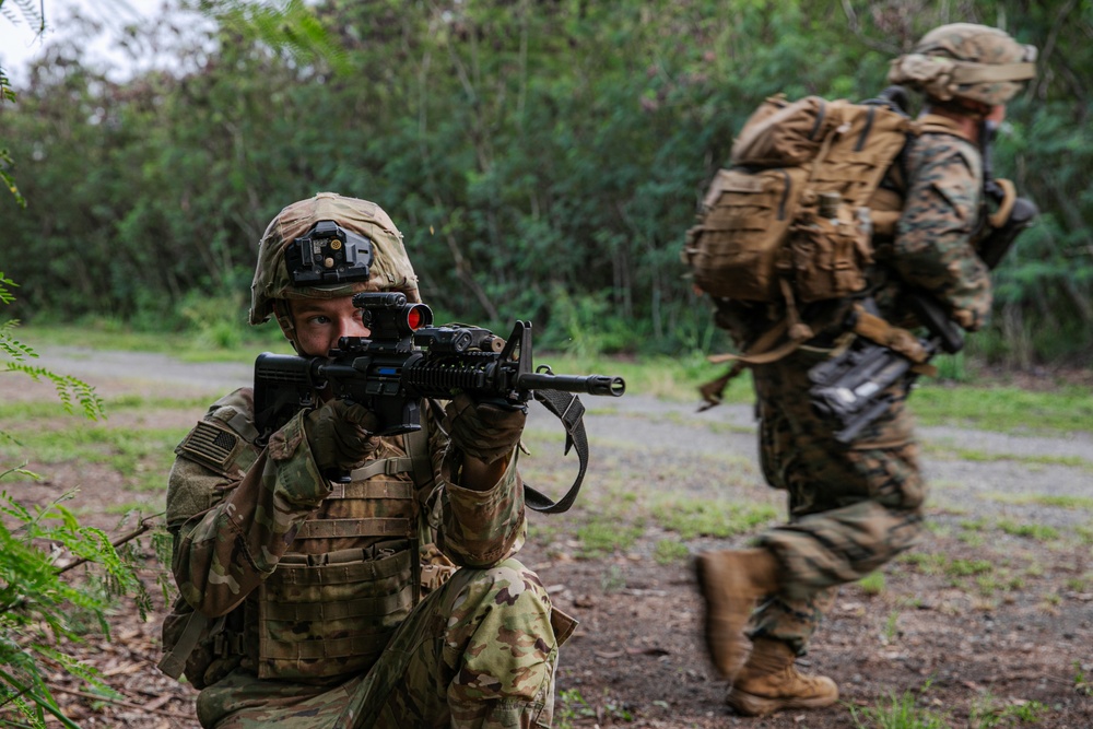 2-14 CAV, 25ID and 3/3 Marines conduct joint Deployment Readiness Exercise