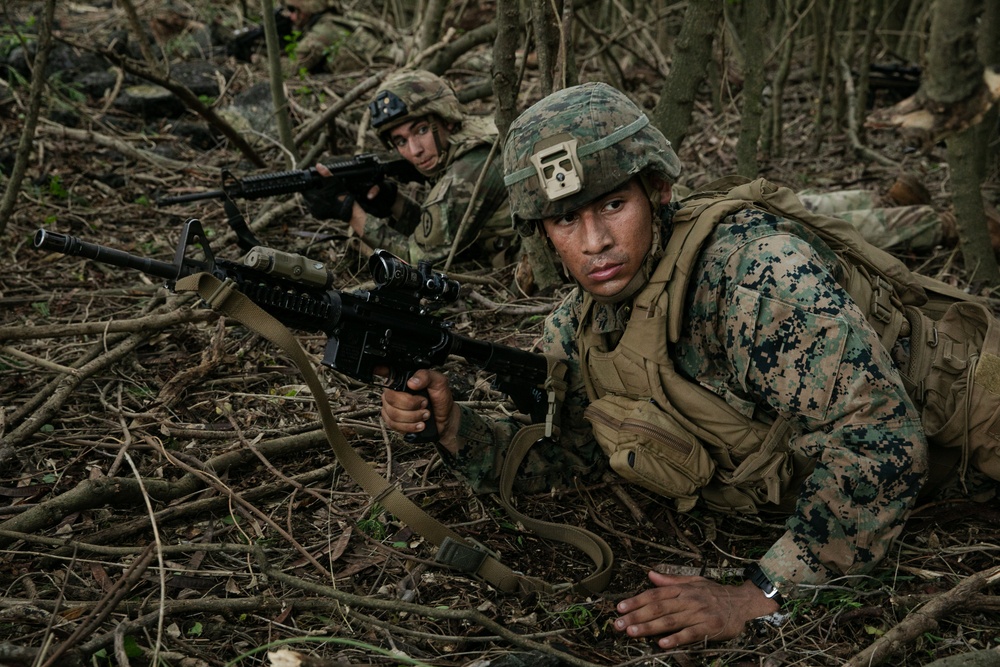 2-14 CAV, 25ID and 3/3 Marines conduct joint Deployment Readiness Exercise