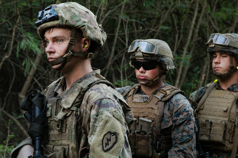 2-14 CAV, 25ID and 3/3 Marines conduct joint Deployment Readiness Exercise