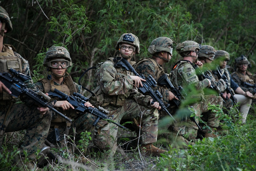 DVIDS - Images - 2-14 CAV, 25ID and 3/3 Marines conduct joint ...