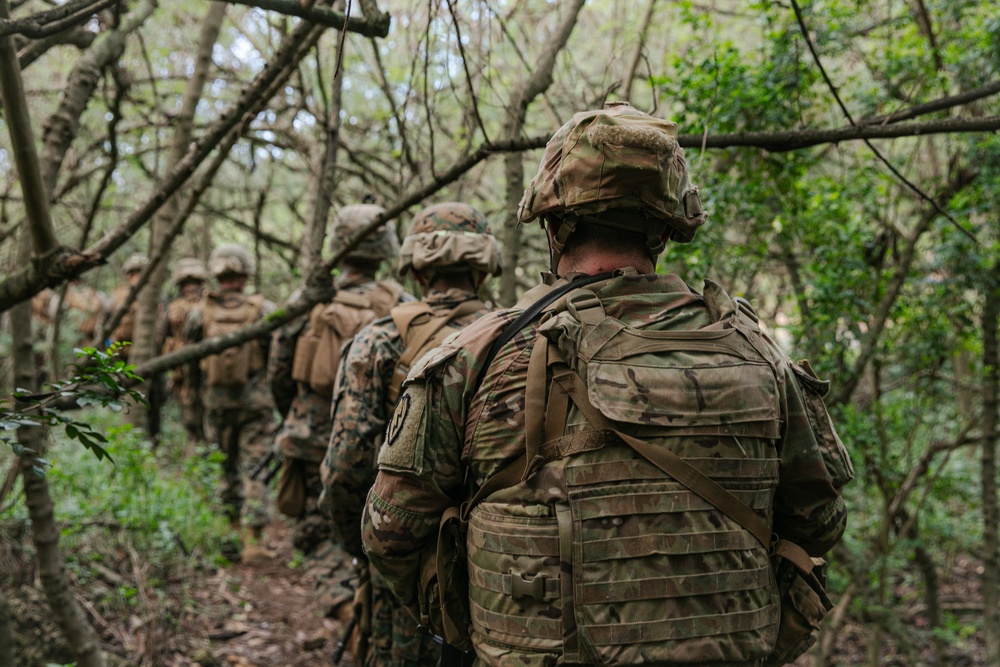 2-14 CAV, 25ID and 3/3 Marines conduct joint Deployment Readiness Exercise