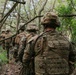 2-14 CAV, 25ID and 3/3 Marines conduct joint Deployment Readiness Exercise