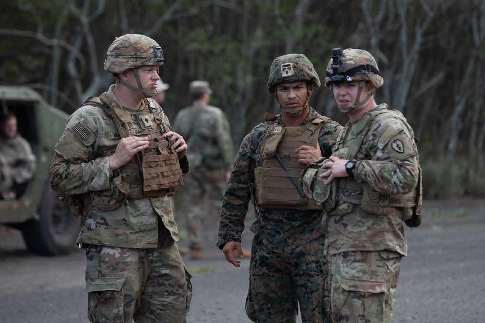 U.S. Navy Bravo Surgical Co., 3d Medical Battalion, supports Operation Big Wave, MCTAB, Hawaii