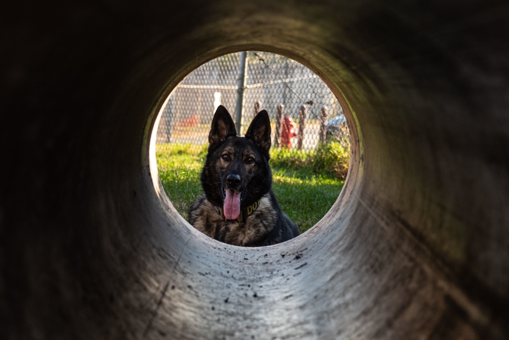 Behind the ‘Dream Team,’ handler and K9 share unbreakable bond