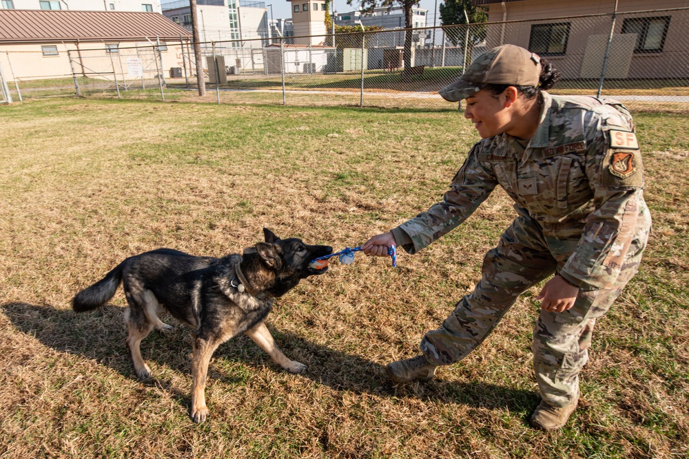 Behind the ‘Dream Team,’ handler and K9 share unbreakable bond