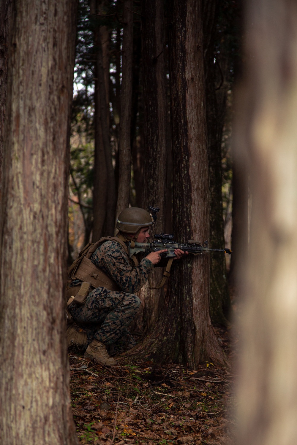 81mm Mortar Platoon TRAP Training